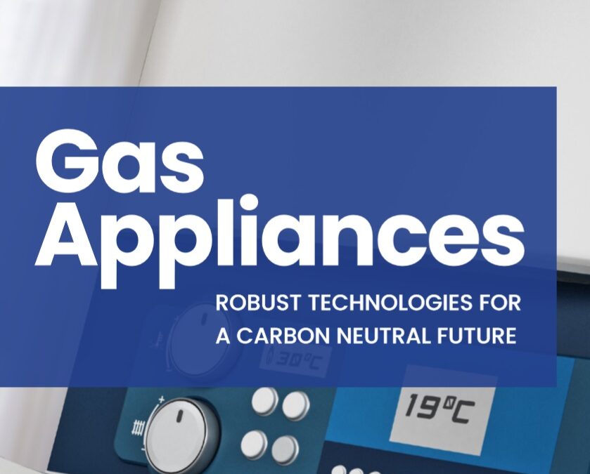 GasNaturally’s feedback to the EU Energy Efficiency Directive Evaluation and Review