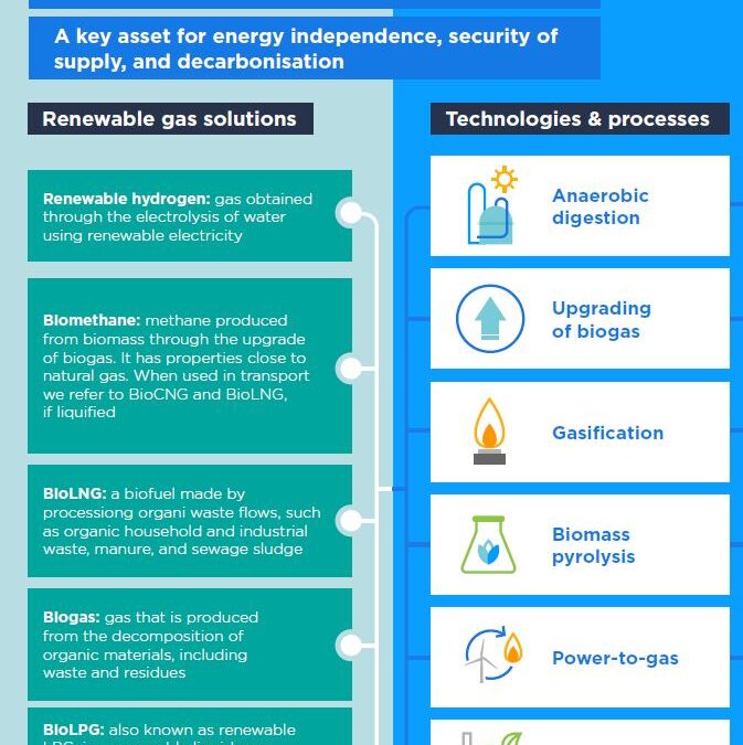 GasNaturally Factsheet on Renewable Gases